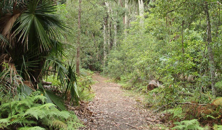 East Lynne NSW Darwin Holiday