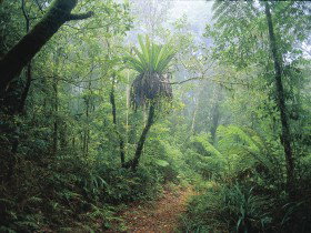 Wagawn - Darwin Holiday 0