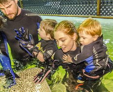 Book Boat Harbour NSW Attractions Darwin Holiday Darwin Holiday