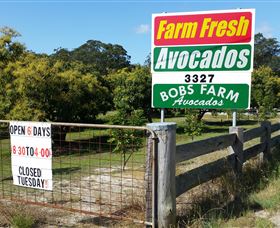The Avocado Farm - Darwin Holiday 3