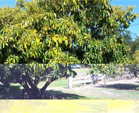 The Avocado Farm - Darwin Holiday 2