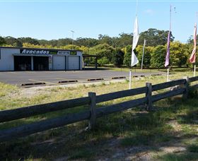 The Avocado Farm - Darwin Holiday 4