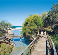 Eli Creek - Darwin Holiday