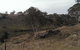 Bombala Platypus Reserve - thumb 3
