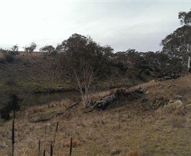 Bombala Platypus Reserve - Darwin Holiday 3