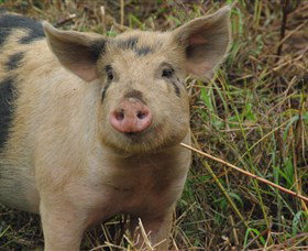 Bent On Food Cookery School - Darwin Holiday 5