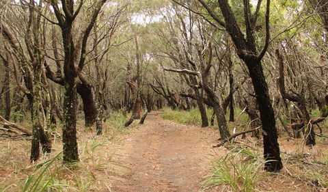 Pretty Beach To Snapper Point Walking Track - Darwin Holiday 0