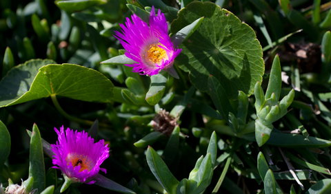 Murramarang Aboriginal Area - Darwin Holiday 3