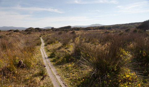 Murramarang Aboriginal Area Walking Track - Darwin Holiday 2