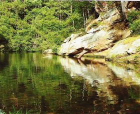 Numinbah Valley Adventure Trails - Darwin Holiday 1