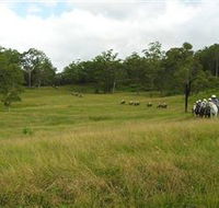 Numinbah Valley Adventure Trails - Darwin Holiday
