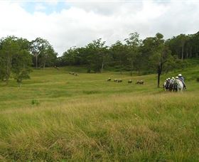Numinbah Valley Adventure Trails - Darwin Holiday 0