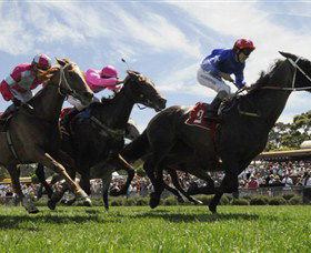 Moruya Racecourse - Darwin Holiday 0