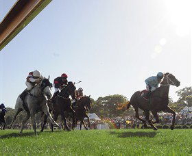 Moruya Racecourse - Darwin Holiday 1