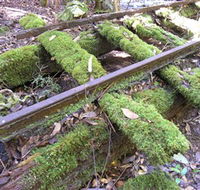 Wootton Historical Railway Walk - Darwin Holiday