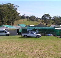 Tinonee Orchid Nursery - Darwin Holiday