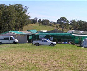 Tinonee Orchid Nursery - Darwin Holiday 0