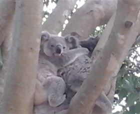 Mondrook Garden Cafe Gallery And Function Centre - Darwin Holiday 1