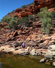 Inland Gorges - Darwin Holiday 2