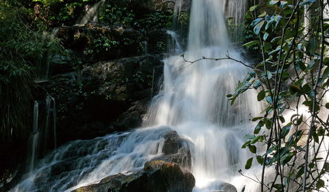 Bangalore Falls Walking Track - Darwin Holiday 3