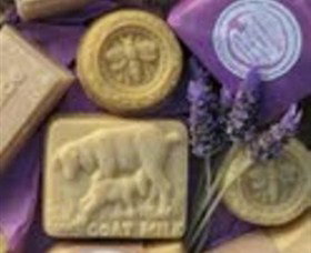 Nabiac NSW Darwin Holiday