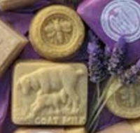 Honeycomb Valley Farm - Darwin Holiday