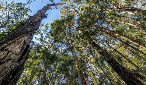 Brimbin Nature Reserve - Darwin Holiday 3