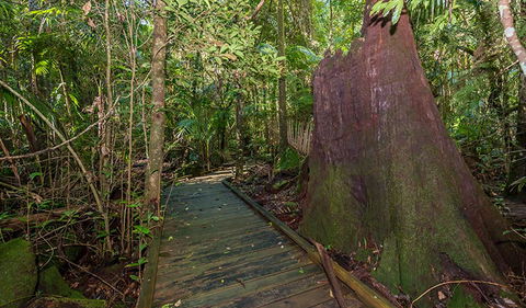 Starrs Creek Picnic Area - Darwin Holiday 2