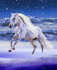 Australian Outback Spectacular: High Country Legends - Darwin Holiday 1