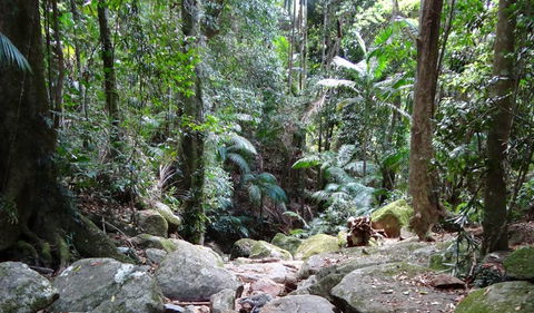 Wollumbin National Park - Darwin Holiday 2
