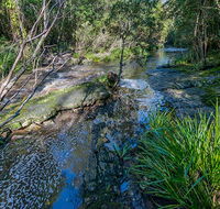 Dawson River walking track - Darwin Holiday