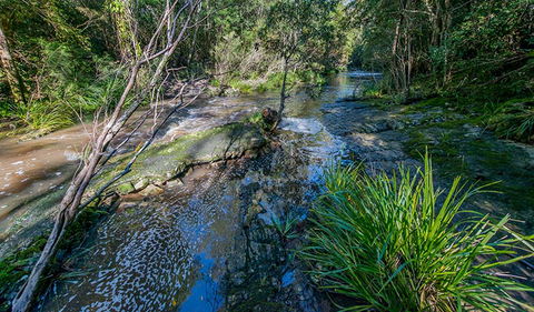 Dawson River Walking Track - Darwin Holiday 0