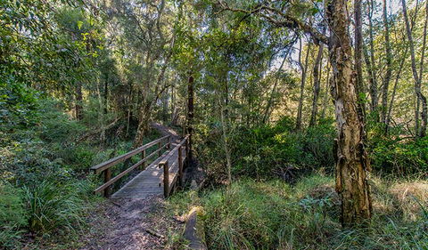 Dawson River Walking Track - Darwin Holiday 1