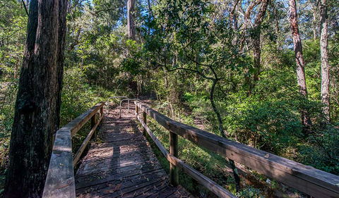 Dawson River Walking Track - Darwin Holiday 3