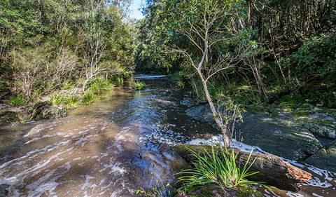 Brimbin Picnic Area - Darwin Holiday 2