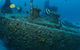 Curtain Artificial Reef Dive Site - thumb 1