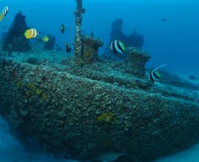 Curtain Artificial Reef Dive Site - Darwin Holiday 1