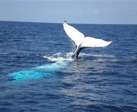 Booderee National Park: Cape St George Lighthouse - Darwin Holiday 1