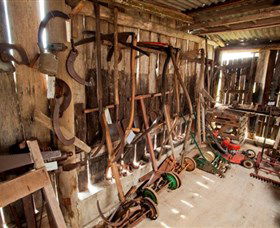 Lawrence Museum And Historical Society Inc - Darwin Holiday 4