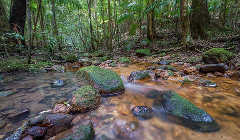 Coorabakh National Park - Darwin Holiday 1
