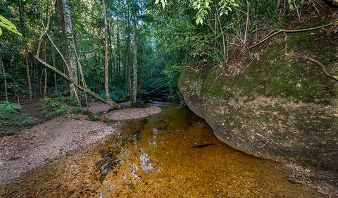 Coorabakh National Park - Darwin Holiday 2