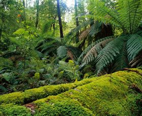 Combienbar VIC Darwin Holiday