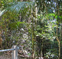 Goorgana walking track - Darwin Holiday