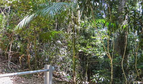 Goorgana Walking Track - Darwin Holiday 0
