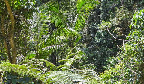 Goorgana Walking Track - Darwin Holiday 1