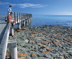 Hamelin Pool Stromatolites - Darwin Holiday 3