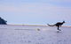 Tuross Lake - thumb 2