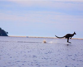 Tuross Lake - Darwin Holiday 2