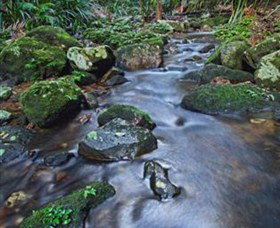 Protesters Falls - Darwin Holiday 7