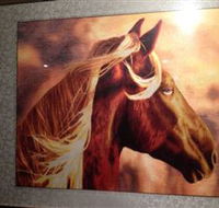 Silk Art Gallery - Darwin Holiday